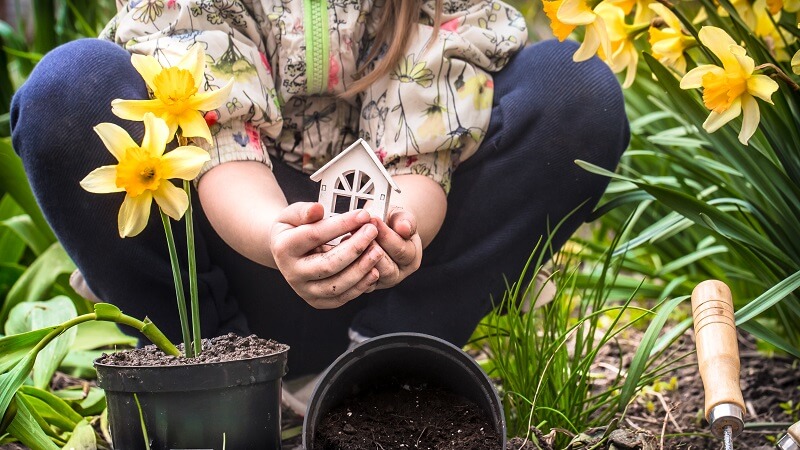 Garden Tips DecoradHouse